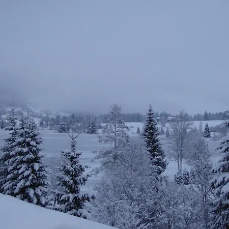 Wohlfartstaetter Daire *