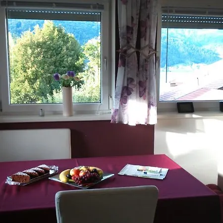 Apartment Wohlfartstätter *